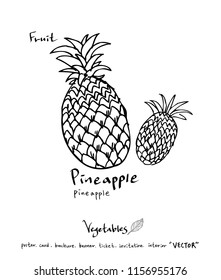 Hand drawn food ingredients - vegetable and fruit illustrations - vector