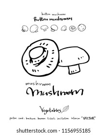 Hand drawn food ingredients - vegetable and fruit illustrations - vector
