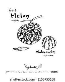 Hand drawn food ingredients - vegetable and fruit illustrations - vector
