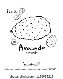 Hand drawn food ingredients - vegetable and fruit illustrations - vector