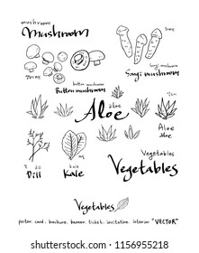Hand drawn food ingredients - vegetable and fruit illustrations - vector