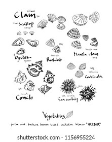 Hand drawn food ingredients - vegetable and fruit illustrations - vector
