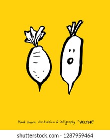 Hand drawn food ingredients - vegetable and fruit illustrations - vector