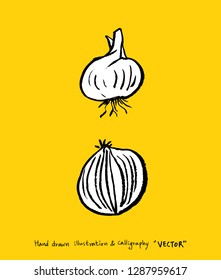 Hand drawn food ingredients - vegetable and fruit illustrations - vector