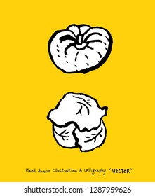 Hand drawn food ingredients - vegetable and fruit illustrations - vector
