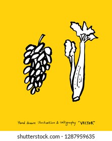 Hand drawn food ingredients - vegetable and fruit illustrations - vector