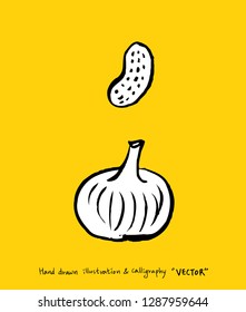 Hand drawn food ingredients - vegetable and fruit illustrations - vector