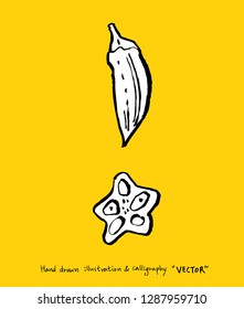Hand drawn food ingredients - vegetable and fruit illustrations - vector