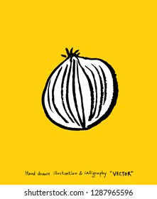 Hand drawn food ingredients - vegetable and fruit illustrations - vector