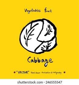 Hand drawn food ingredients - vegetable and fruit illustrations - vector