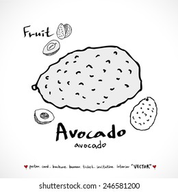 Hand drawn food ingredients - vegetable and fruit illustrations - vector