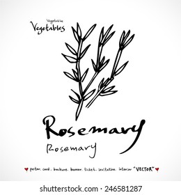 Hand drawn food ingredients - vegetable and fruit illustrations - vector