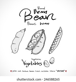 Hand drawn food ingredients - vegetable and fruit illustrations - vector