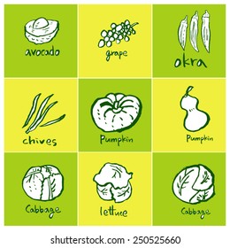 Hand drawn food ingredients - vegetable and fruit illustrations - vector