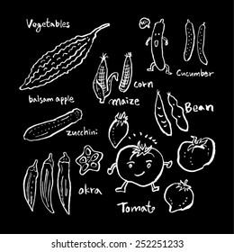Hand drawn food ingredients - vegetable and fruit illustrations - vector