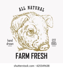 Hand drawn food logo. Engraved pig head isolated on white background. Vector illustration