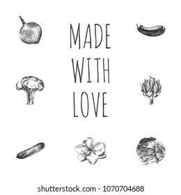 Hand drawn food sketches set. Collection of eggplant, artichoke, cucumber and other sketch elements.