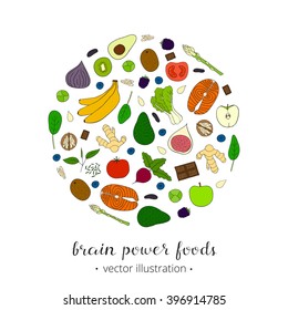 Hand drawn foods for brain power in circle. 