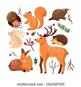 Hand drawn forest animal vector set in a flat style. Woodland cartoon icon funny collection with owl, deer, red squirrel, little hedgehog and a beaver.