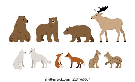 Hand drawn forest animals collection: bear, moose, wolf, fox and lynx. Vector woodland set with cute characters. Wildlife concept. Vector illustration in Scandinavian style for childish design