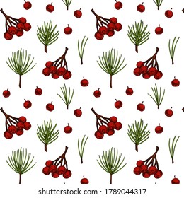 Hand drawn forest and Christmas seamless pattern with evergreen tree branches and needles and red berries isolated on white background. Vector illustration in colored sketch style