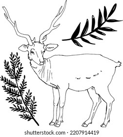 Hand Drawn forest deer and branches with leaves, Vector Illustrations For clothing, home decor, cards and templates, scrap booking, post cards, frames.