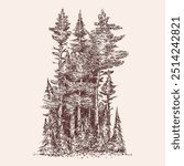 Hand drawn forest edge in monochrome color. Sketching pine trees group. Vector doodle illustration.