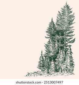Hand drawn forest edge in monochrome color. Sketching pine trees group. Vector doodle illustration.