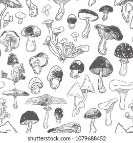 Hand drawn forest funny doodle mushrooms seamless pattern. Vector illustration