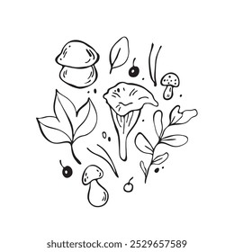 Hand drawn forest illustrations. Outline black vector mushroom elements 