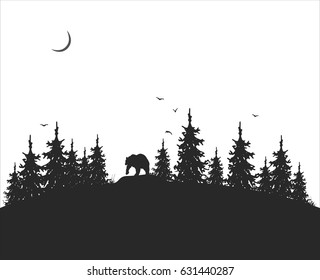 hand drawn forest landscape with moon, birds and bear