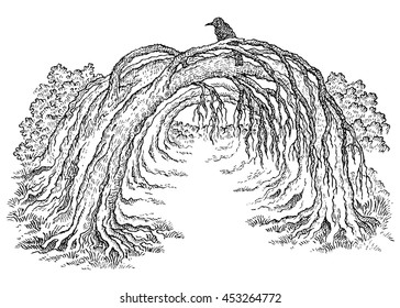 Hand drawn forest landscape. Old curve trees and crow. Modern style.