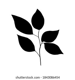 Handgezeichnetes Waldblatt, Ast.
Vektorgrafik für Karte, Innendekor. 
Handgezeichnete Zierpflanze 