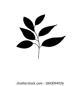 Hoja de bosque dibujada a mano, rama.
Ilustración vectorial para tarjeta, decoración doméstica. 
Planta dibujada a mano para la decoración 