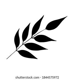 Hoja de bosque dibujada a mano, rama. Ilustración vectorial para tarjeta, decoración doméstica. 
Planta dibujada a mano para la decoración 