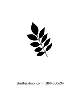 Hand drawn forest leaf, branch. Vector illustration for  card, home decor. 
Hand drawn plant for decoration 