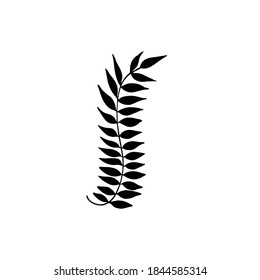 Hand drawn forest leaf, branch. Vector illustration for  card, home decor. 
Hand drawn plant for decoration 