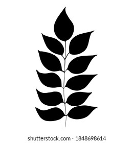 Hand drawn forest leaf, branch. Vector illustration for  card, home decor. 
Isolated on white backdrop. 