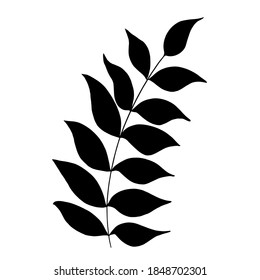 Hand drawn forest leaf, branch. Vector illustration for  card, home decor. 
Isolated on white backdrop. 