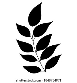 Hand drawn forest leaf, branch. Vector illustration for  card, home decor. 
Isolated on white backdrop. 