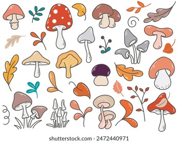 Hand drawn forest mushrooms, foliage and herbs set. Colored doodle illustration on the theme of autumn. Fall leaves and mushrooms, vector graphics