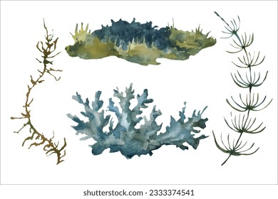 Hand drawn forest plants, branches, leaves, moss. Watercolor vector illustration in warm tones. Set of plant elements in a watercolor