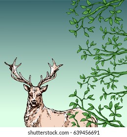hand drawn forest template with colored portrait of deer and foliage and branches