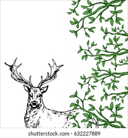 Hand Drawn Forest Template Contour Portrait Stock Vector (Royalty Free ...