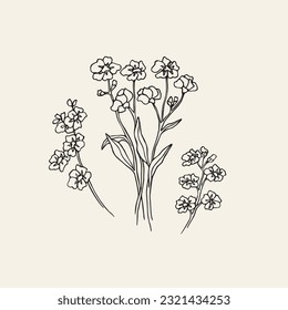 Hand drawn forget-me-not flower drawing	