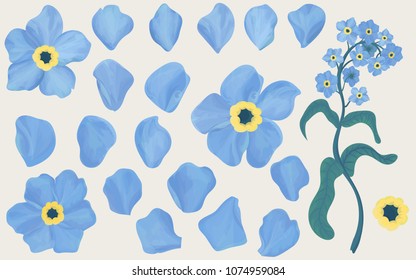 Hand drawn forget-me-not flowers. Expanded on the petals. Object with transparent. Realitic vector aquarelle set. 