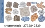 Hand drawn fossil collection vector featuring dinosaur bone, fish skeleton, shell, footprint and ancient imprint. Flat illustration perfect for education, science project, kids design and archaeology.