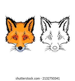 Hand drawn fox face isolated on white background 