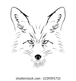 Hand drawn fox head isolated on white background. Fox face sketch doodle style for engraving and tattoo. Black and white animal portrait in vintage style. Outline drawing. Vector illustration