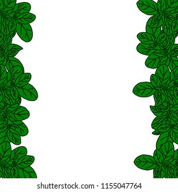 Hand drawn frame with basil.Vector background for design menu,packaging,recipes,farm market products.